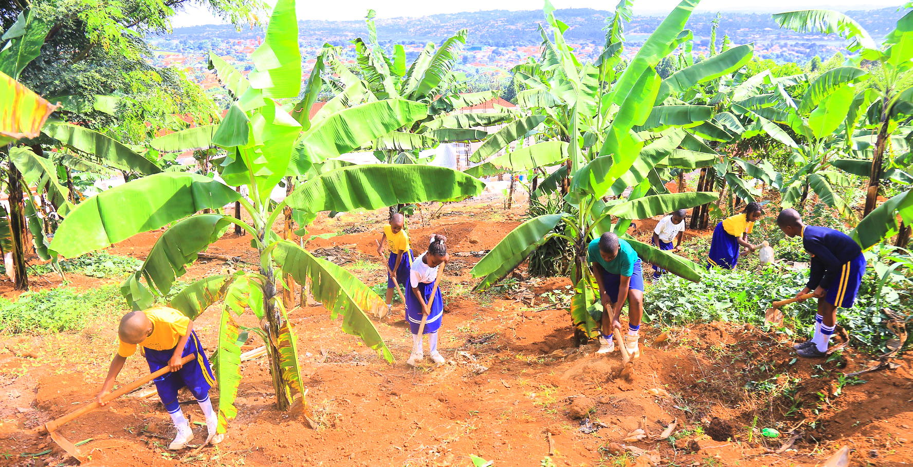 Farmers Corner
