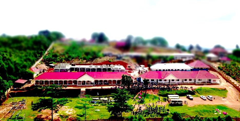 Students learning in classroom